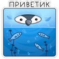 api