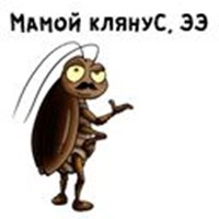 cockroaches