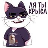 Divinchik's cat