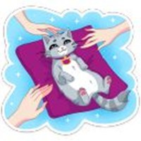 Life is zamur-r-rchative!