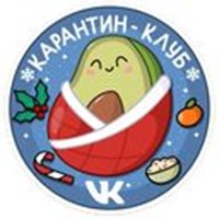 Festive Avocado