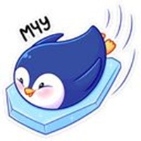 Little penguin Pinnie