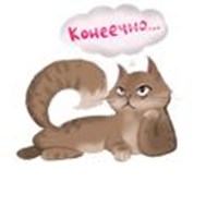 kitty