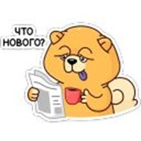 Tao
