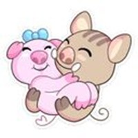Mr and Mrs Pig