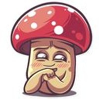 fly agaric