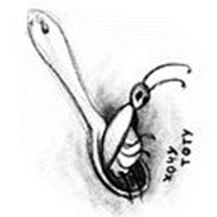 Cockroach