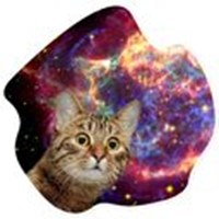 CosmoCats