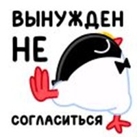 Decent Penguin
