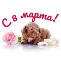 cute pets