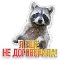 Not pets