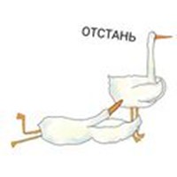 Goose