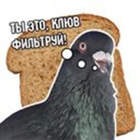 Philosophizing doves
