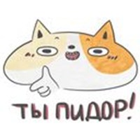 Cat Manyau