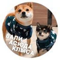 ? Dark Dogs