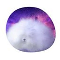 space rabbits