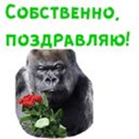 Women's Day