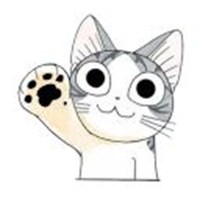 gray tabby cat