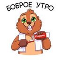 Borya