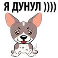 Dogs and puppies