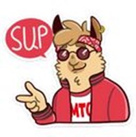 MTS Hypebisty