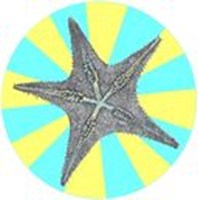 O'Reilly bookshelf stories