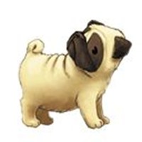 Pug Carl