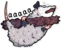 badass possum