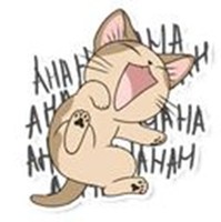 cat meow