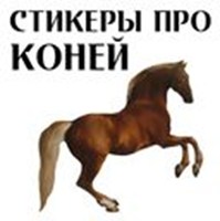 About horses