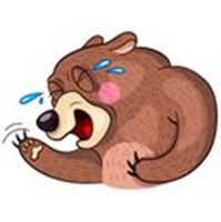 cute bear