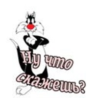 Cat Sylvester