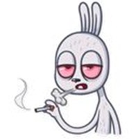Not a cute rabbit