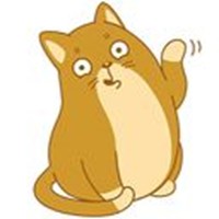 Cat Theodore