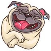 The power of pugs