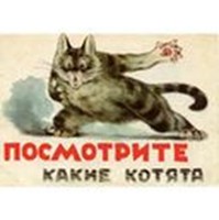 Zamarashka and his friends