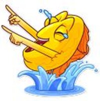 gold fish