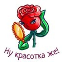 Red rose