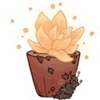 The light in the darkness