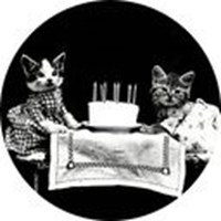 Harry Witter Fries cats