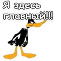 Daffy Duck