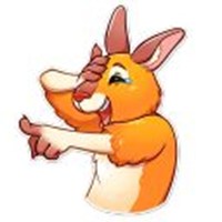 Mr Kangaroo