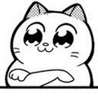 cat cat