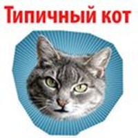 memes with a cat