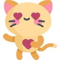 kitten kitty