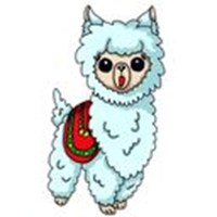 Alpaca Florentina