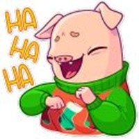 Mr. Pig
