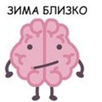 Brain