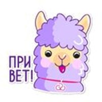 Sticker Alpaca