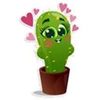 Cactus Zim